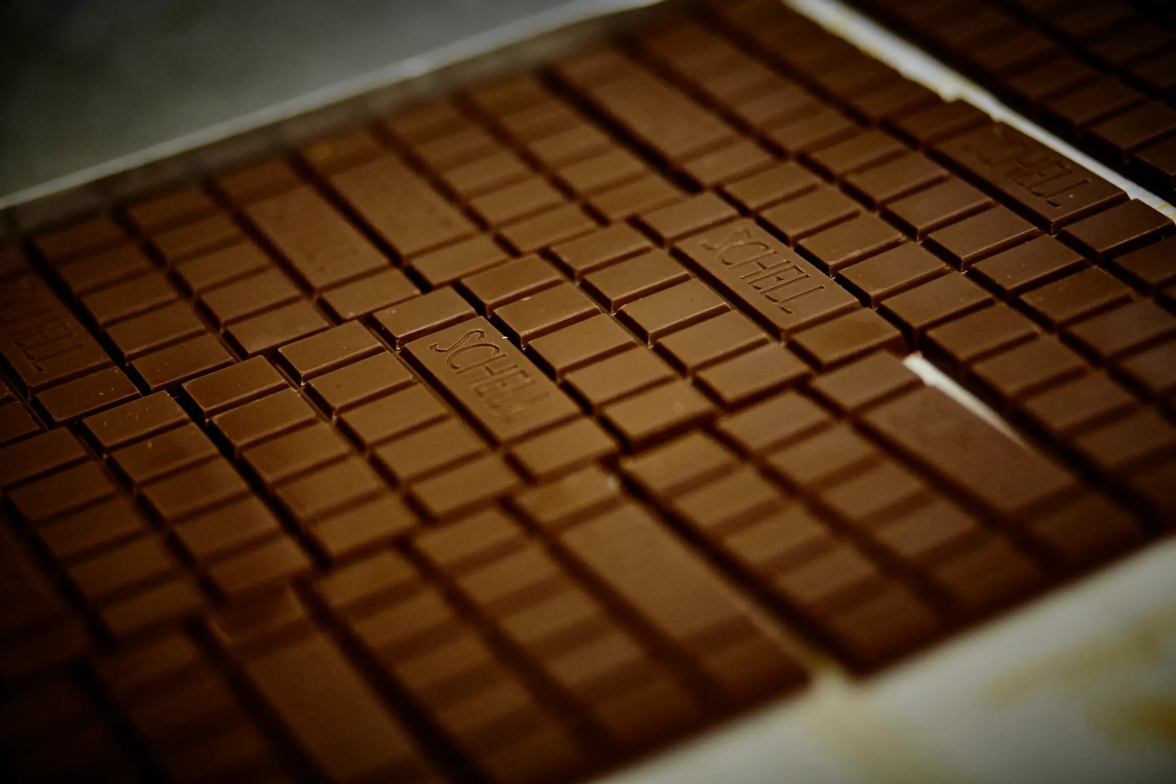 Fertige Schokoladen bei Schell Schokoladen in Gundelsheim nach der Produktion.