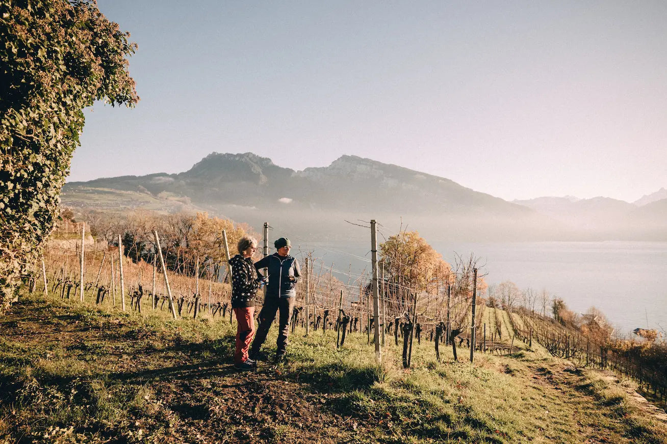 Rebberge am Thunersee mit dem See und Bergen im Hintergrund.