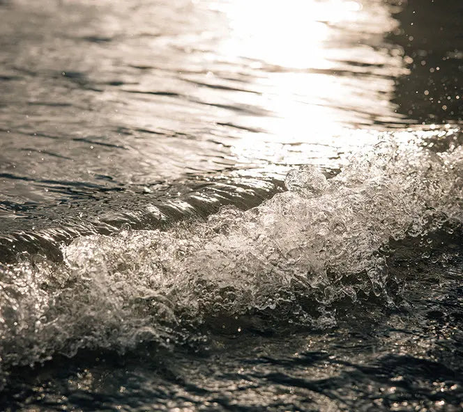 Wasser am Ufer des Thunersee im Berner Oberland.