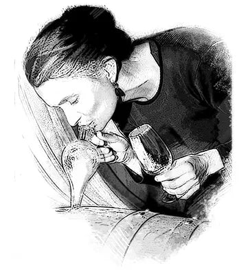 Handgezeichnetes und anschliessend grafisch bearbeitetes Portrait von Ursula Irion von Spiezer Alpine Weinkultur am Thunersee.