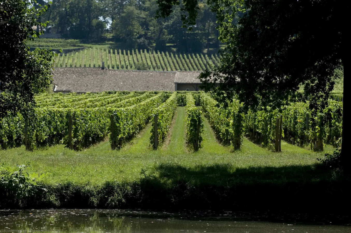 Rebberge umrandet von Wald mit dem Weingut Clos de l'Oratoire in der Mitte und einem kleinen Teich im Vordergrund.