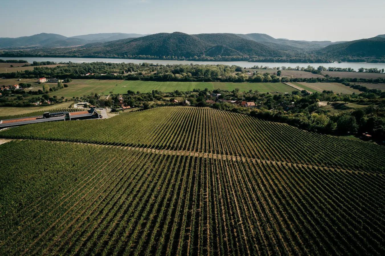 Luftaufnahme der Rebberge mit dem Gebäude der Vilagi Winery im Hintergrund. Dahinter die Donau mit Bergen auf ungarischer Seite.