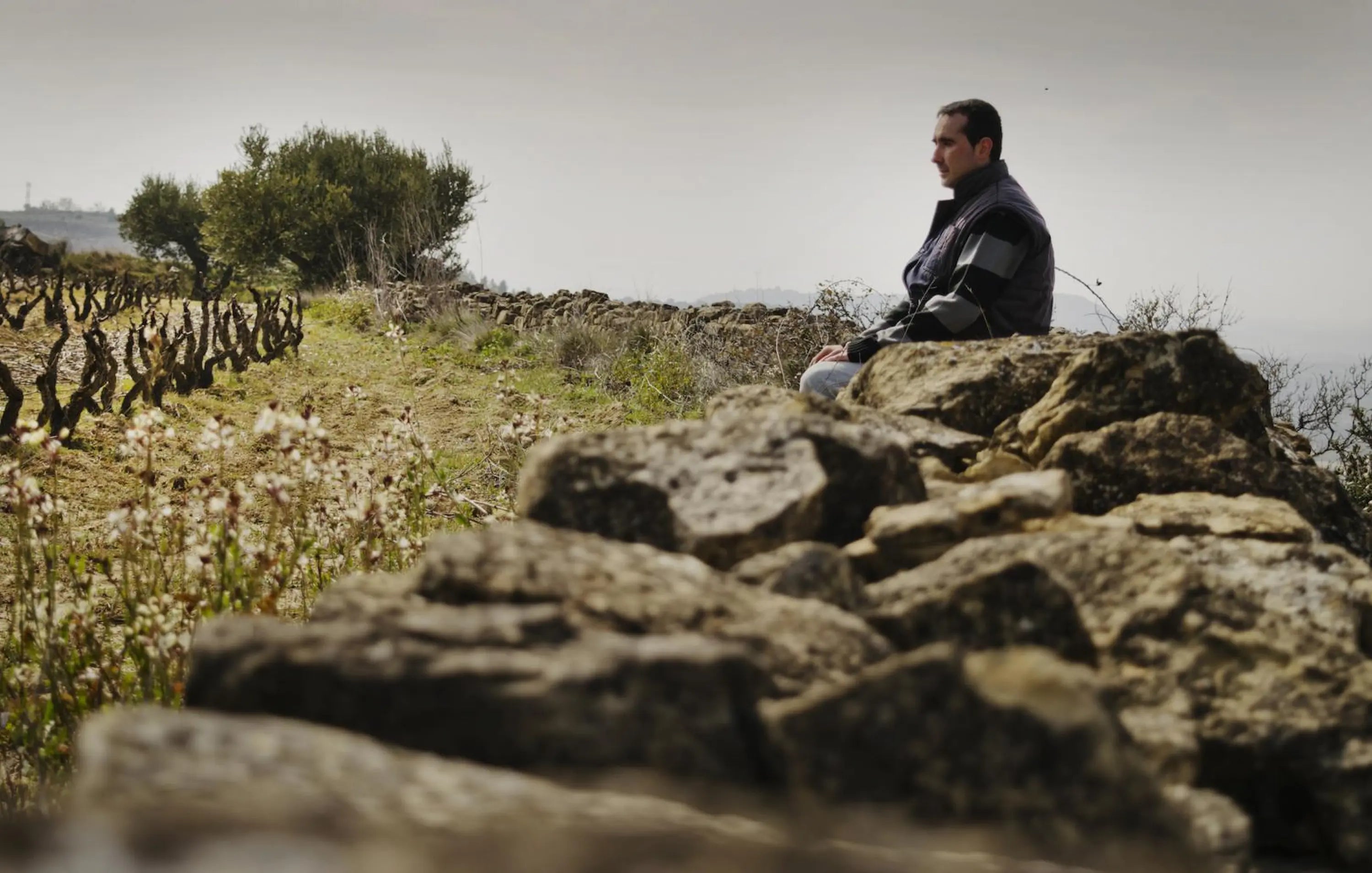 Ramon Saenz auf einer Steinmauer neben seinen Rebbergen von Organic wines & vineyards Ramon Saenz.