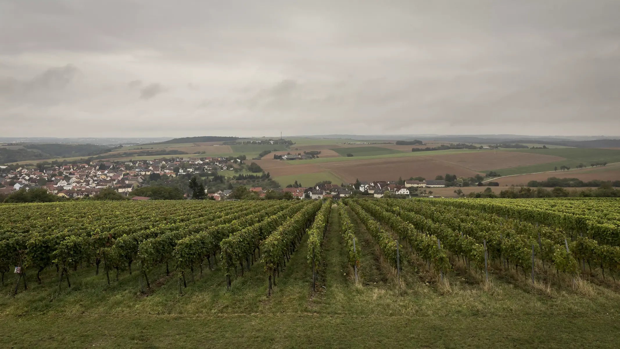 Weinberg in Rimpar in Franken mit Blick auf das Dorf, wo sich das Weingut Franziska Schömig befindet.
