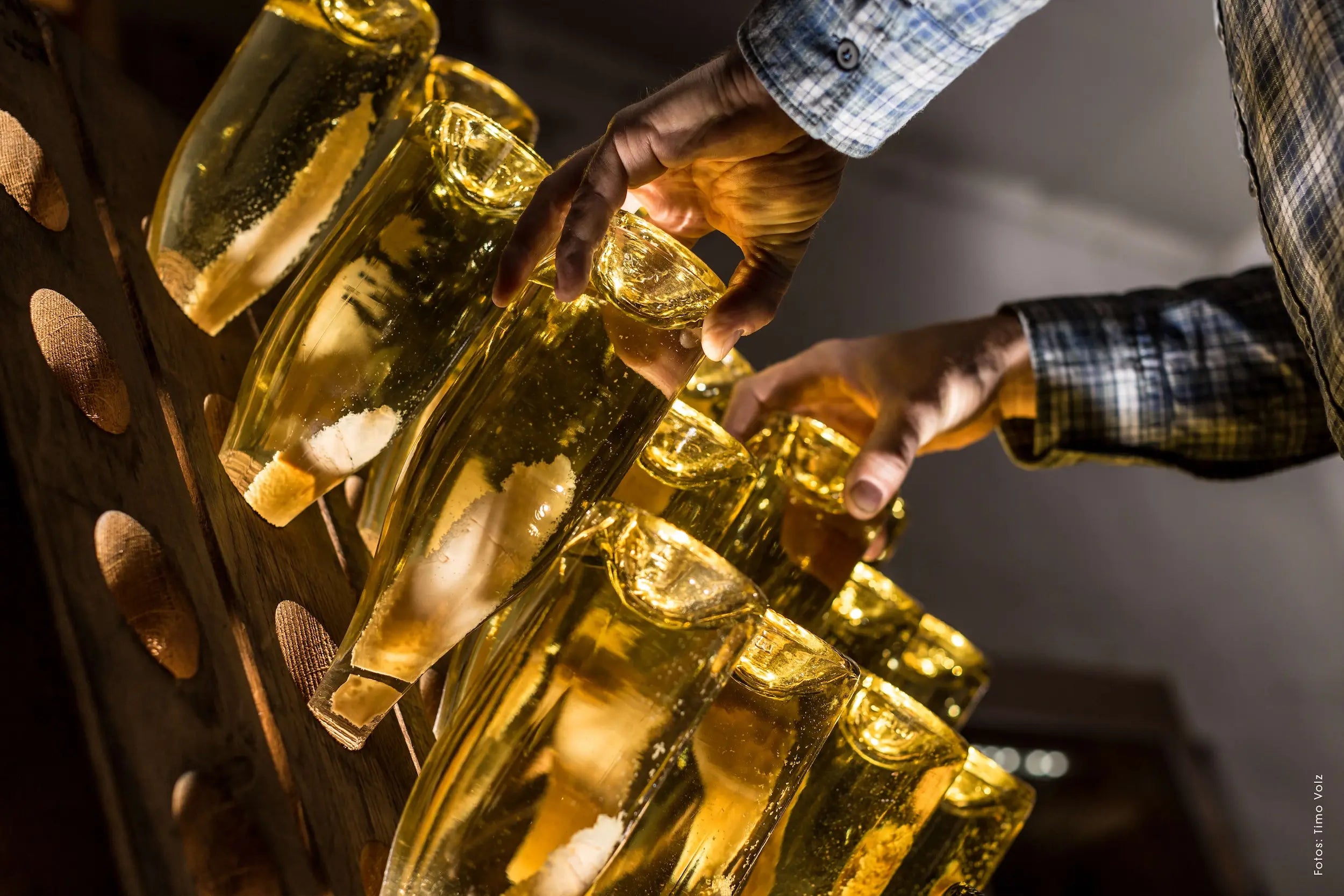 Sektrohlinge im Rüttelbrett beim Rütteln im Bemberger Wein- & Sektgut an der Nahe.