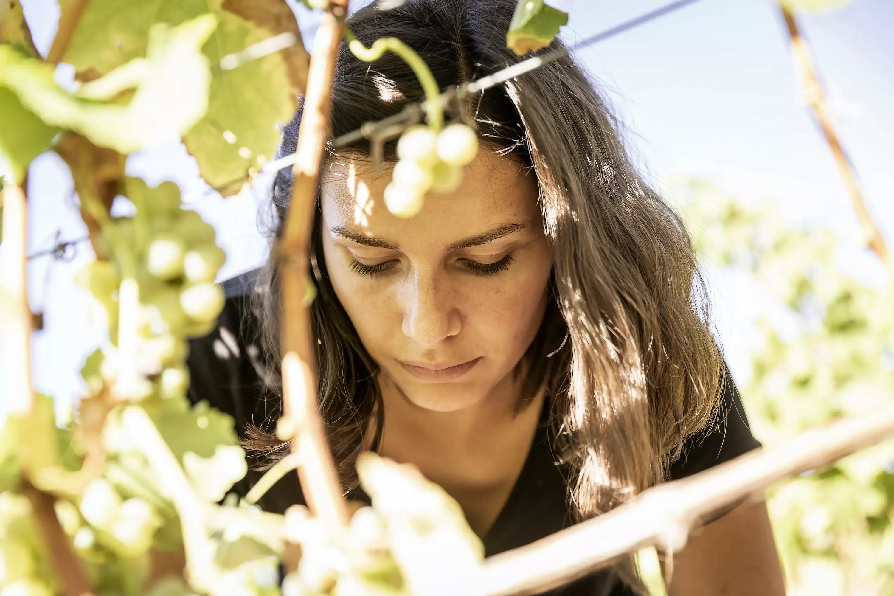 Nahaufnahme von Laura Seufert bei der Arbeit in den Reben vom Weingut Laura Seufert.