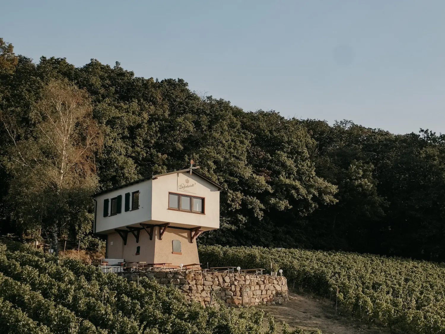 Rebbergshaus des Weingut Diefenhardt mitten in den Rebbergen im Rheingau.