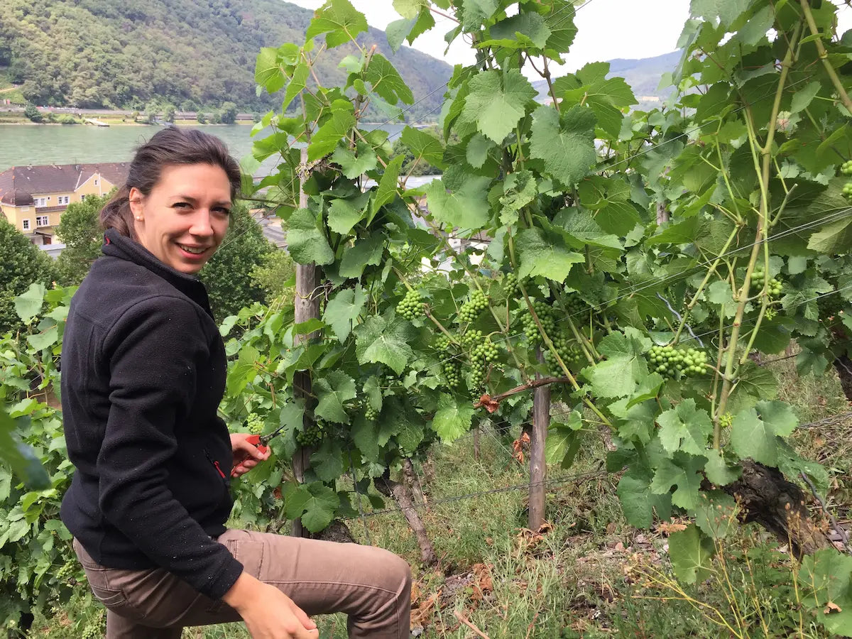 Carolin Weiler bei der Arbeit im Rebberg des Weingut Weiler im Rheingau.