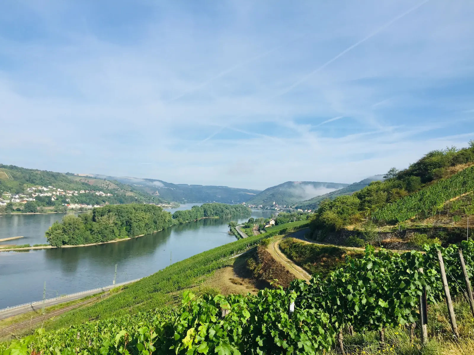 Blick über die Rebberge und den Rhein im Rheingau bei Lorch aus den Weinbergen des Weingut Weiler.