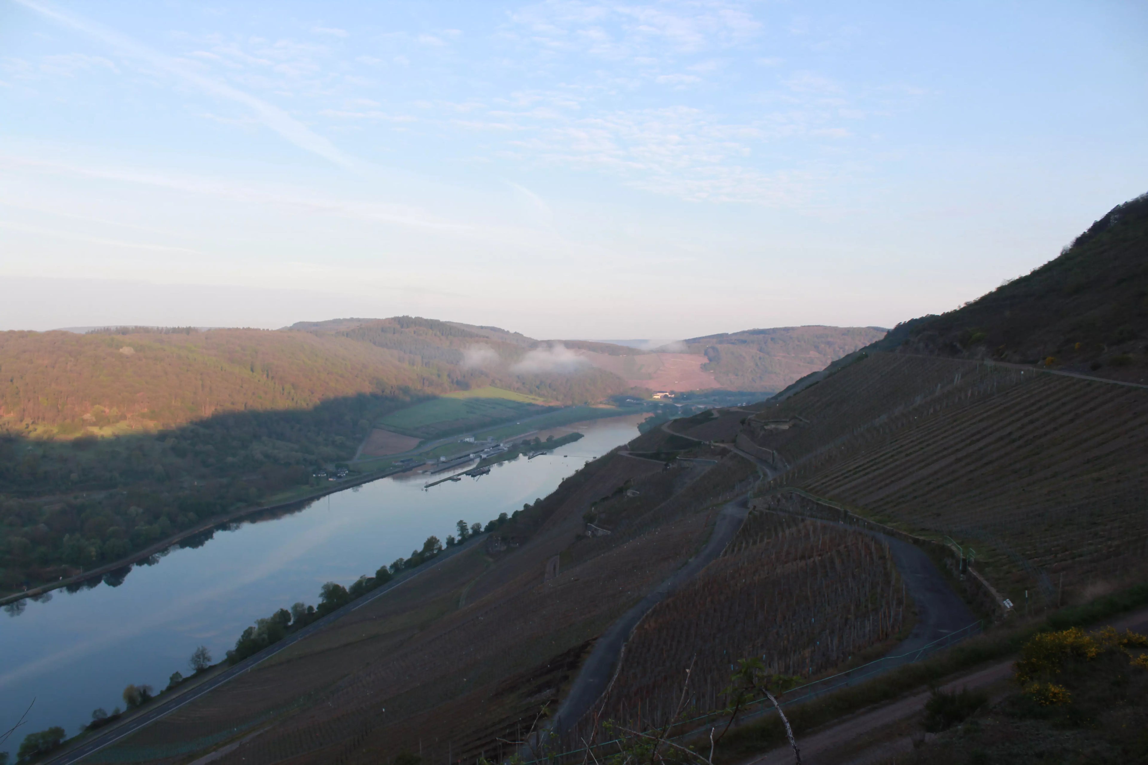 Bick über die Mosel aus den Rebbergen des Weingut A. Gessinger in Zeltingen.